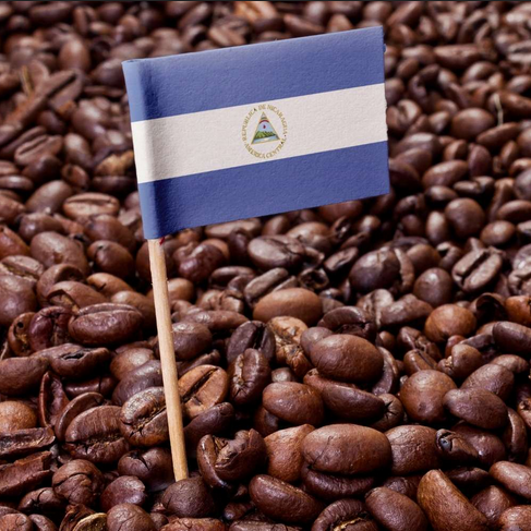 Special Origin Nicaraguan
