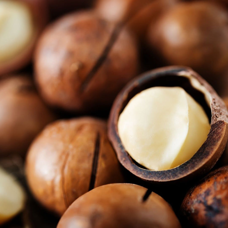 Vanilla Macadamia Nut